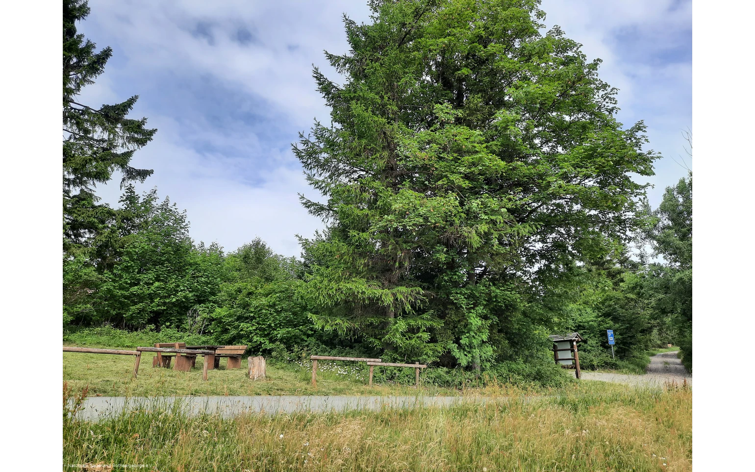 Parken und Rasten am Sohl