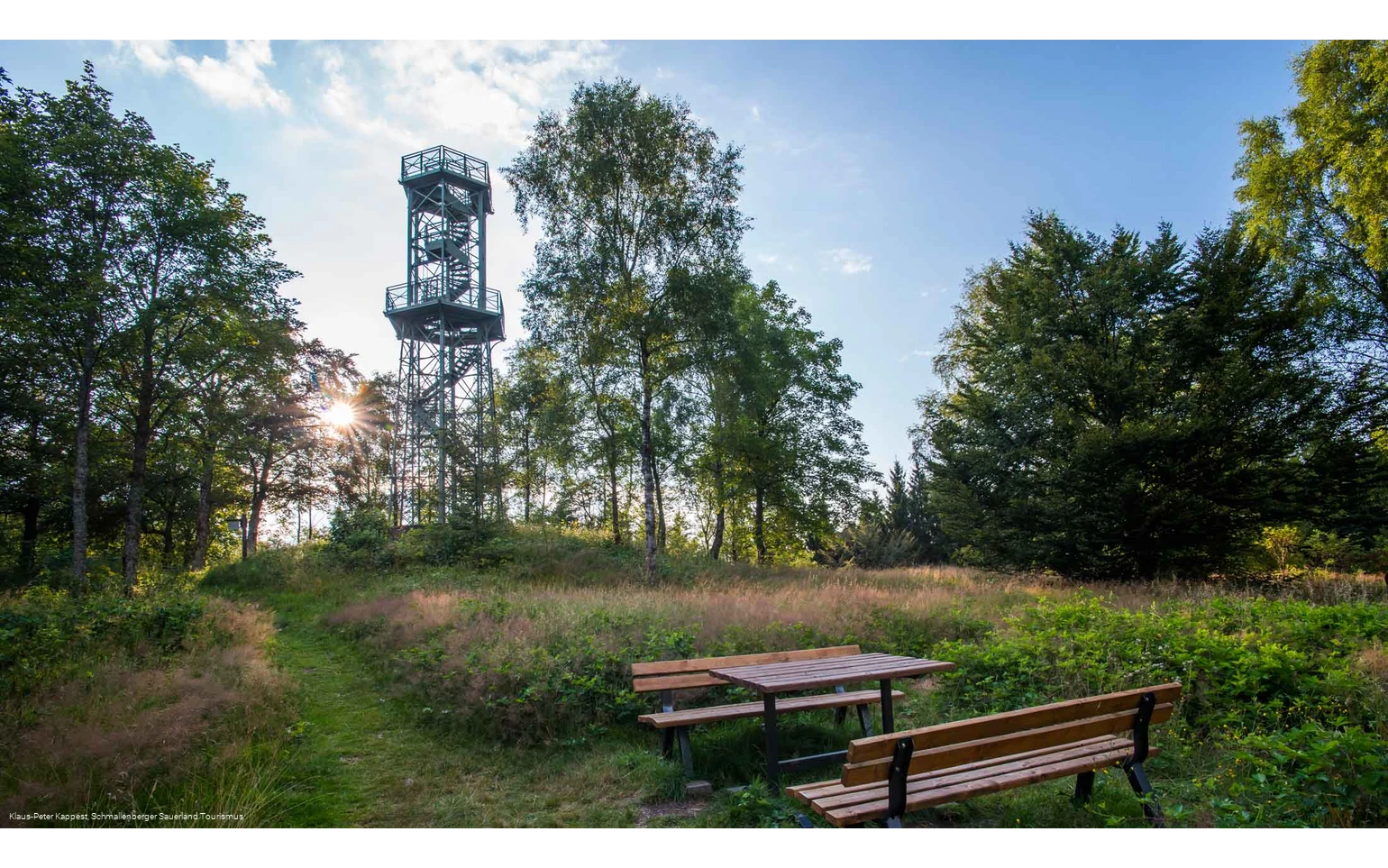 Turm auf dem Wilzenberg
