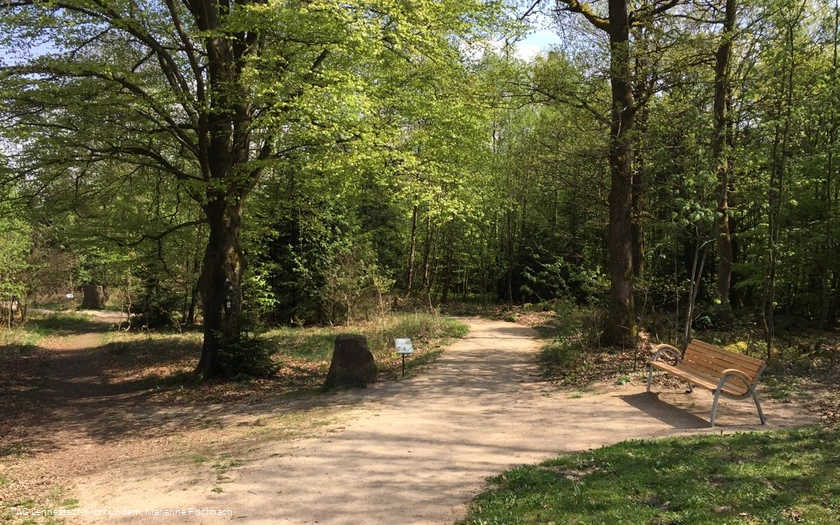 Naturerlebnispfad Hohe Bracht