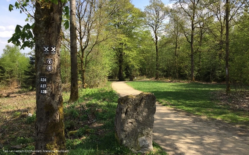Naturerlebnispfad Hohe Bracht