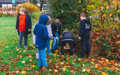 ....die dann schließlich im Schulgarten aufgestellt wurden.