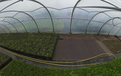 Es wird nochmal umgestellt