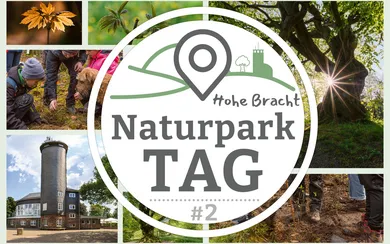 NP_Tag_Hohe Bracht_Teaser