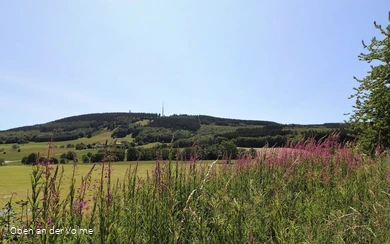 Blick auf die Nordhelle aus Richtung Reblin (Hersc