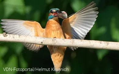 Erwischt
