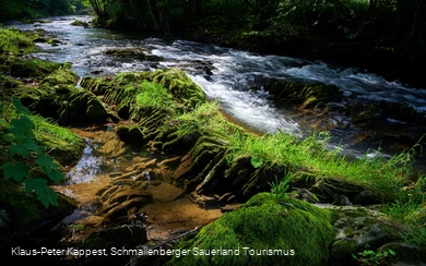 Die Wenne am Wennepfad in Wenholthausen