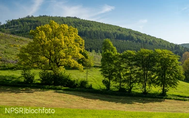 Goldige Ansichten in Bad Berleburg