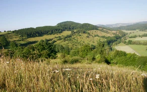 14_H_Diemeltal-Werner Schubert.jpg