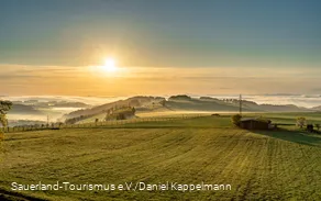 Wiesenlandschaft in Liesen
