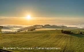 Wiesenlandschaft in Liesen
