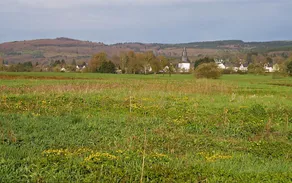 49_H_Wetterbachtal-Haupt Michael Frede.jpg