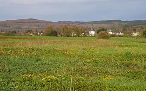 49_H_Wetterbachtal-Haupt Michael Frede.jpg