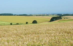 06_H_-Hellwegboerde-Haarstrang_Ralf Joest.jpg