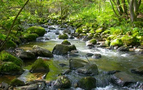 50_H_Weierbach_Haupt Usula Siebel.jpg
