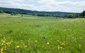 46_H_Gernsdorf-DSCF6307_Ursula Siebel.jpg