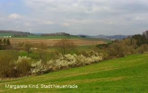 A1 Blintrop - Blick auf Langenholthausen