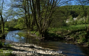 Fluss fließt durch Landschaft