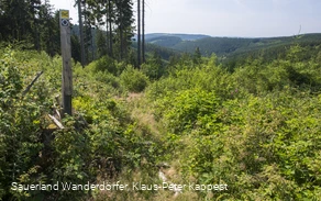 Aufstieg vom Krenkeltal zum Rothaarsteig