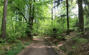 12_H_Moosfelde_Katharina Wrede.jpg