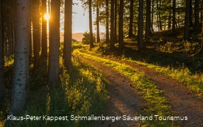 Wandern auf waldreichen Wegen oberhalb von Oberkirchen