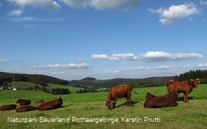 Blick auf Faulebutter