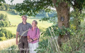 Auf dem Jung-Stilling Rundweg in Grund