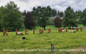 Schriftzug Kleins Wiese