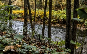 Auch nah am Wasser entlang führt der Themenweg