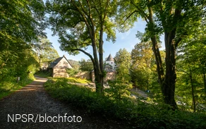 Beide Linden an der Burg Bilstein sind als Naturdenkmäler ausgewiesen.