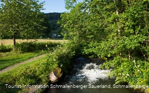 Latrop Bach bei Latrop