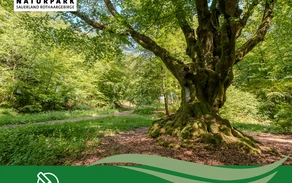 Jahresrückblick 2025