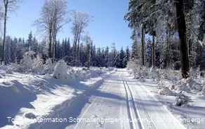 Skilanglauf im Schmallenberger Sauerland