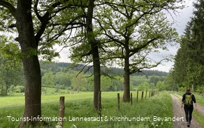 Vorspanneiche Richtung Dollenbruch Vorspanneiche Richtung Dollenbruch