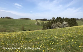Wiehlquellen-Wanderweg