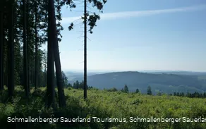 Blick von der Homert