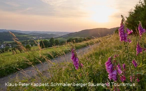 Weite Blick bei am Ohlberg bei Holthausen