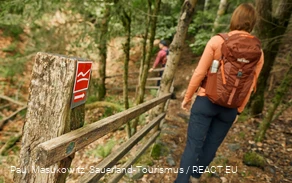 Pfad bei Wagenschmier auf dem Rothaarsteig