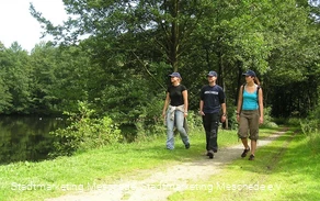Wandern bei Meschede