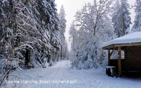 Schutzhütte am Dreiherrenstein Schutzhütte am Dreiherrenstein