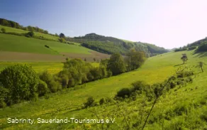 Wiesen