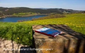 Den Listerblick genießen - auf dem Stein liegend: