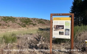 Die Fuhrwerke auf dem Hohlweg waren einachsige Karren, die meist von einem Pferd oder einem Ochsen gezogen wurden.