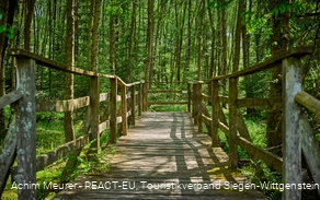 Ederquelle - Steg Quellgebiet