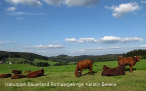 Blick auf Faulebutter