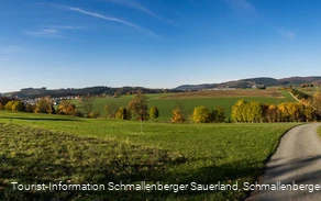 Blick auf Gleidorf und Holthausen im Sauerland