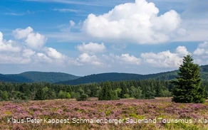 Heidelandschaft auf dem Kahlen Asten