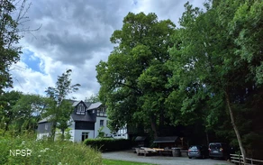 Linde in Meschede-Remblinghausen