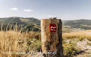 Rothaarsteig-Wegezeichen