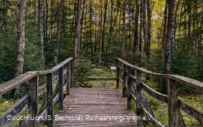 Steg an der Ederquelle auf dem Rothaarsteig Steg an der Ederquelle auf dem Rothaarsteig