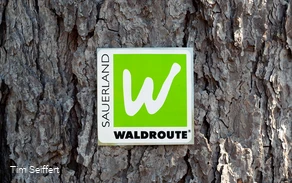 Logo SWR hochkant (c) Tim Seiffert.jpeg